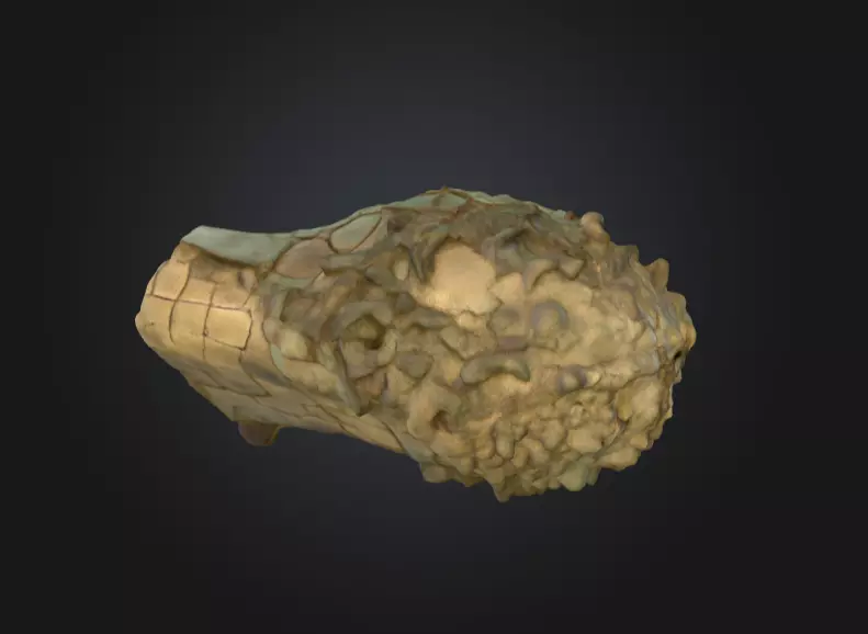 Echoes of Antiquity Head Low-poly 3D model_4