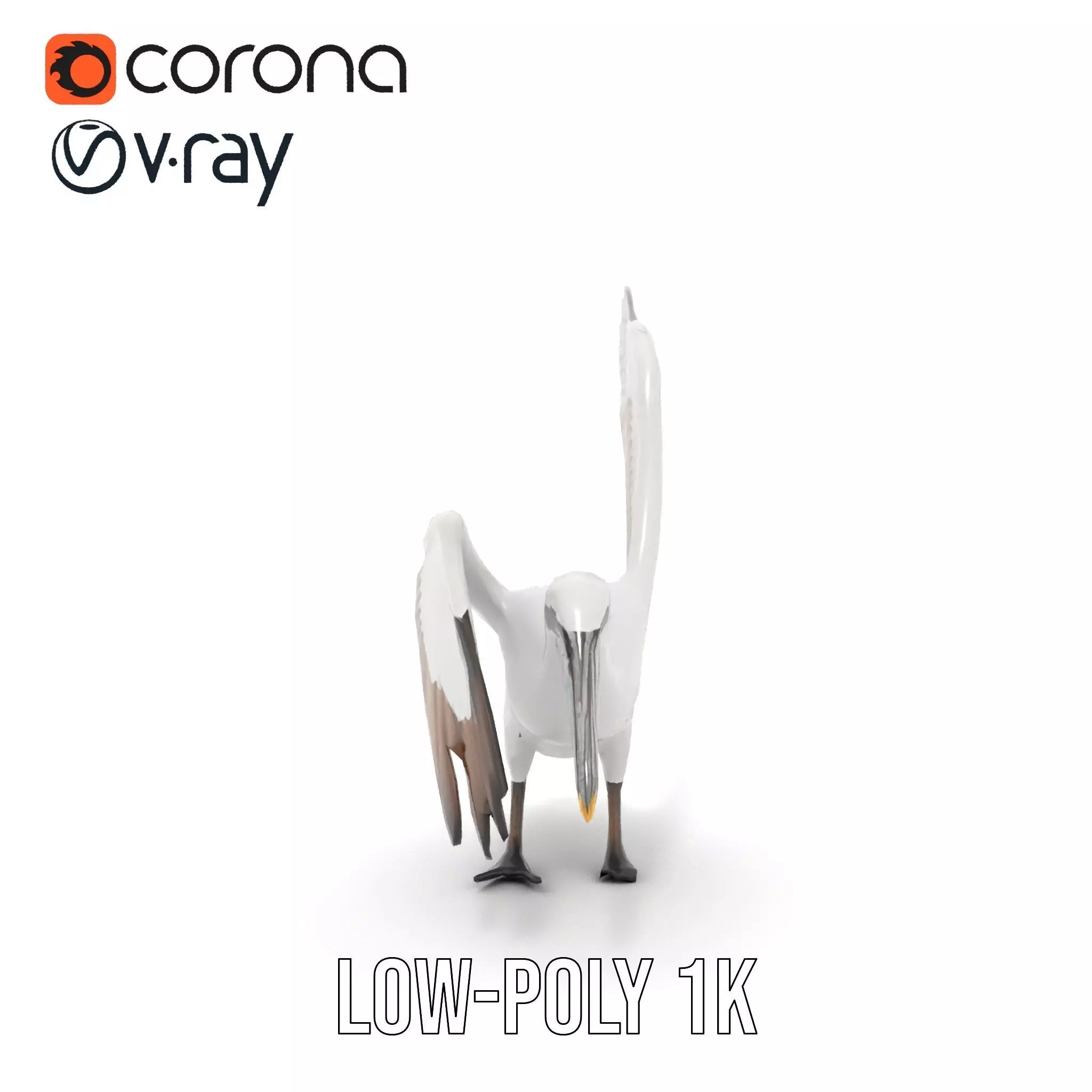 Elegant Seagull Model Pack Low-poly 3D model_8