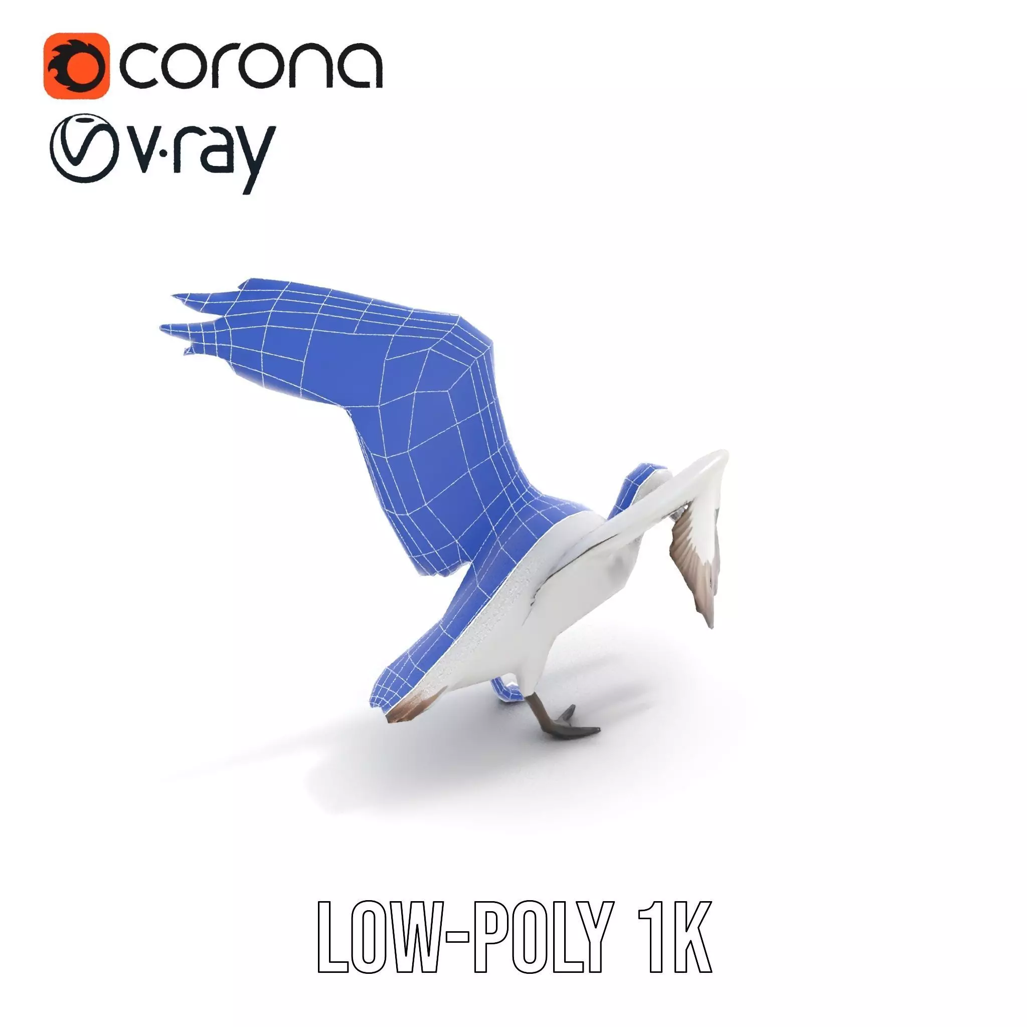 Elegant Seagull Model Pack Low-poly 3D model_22