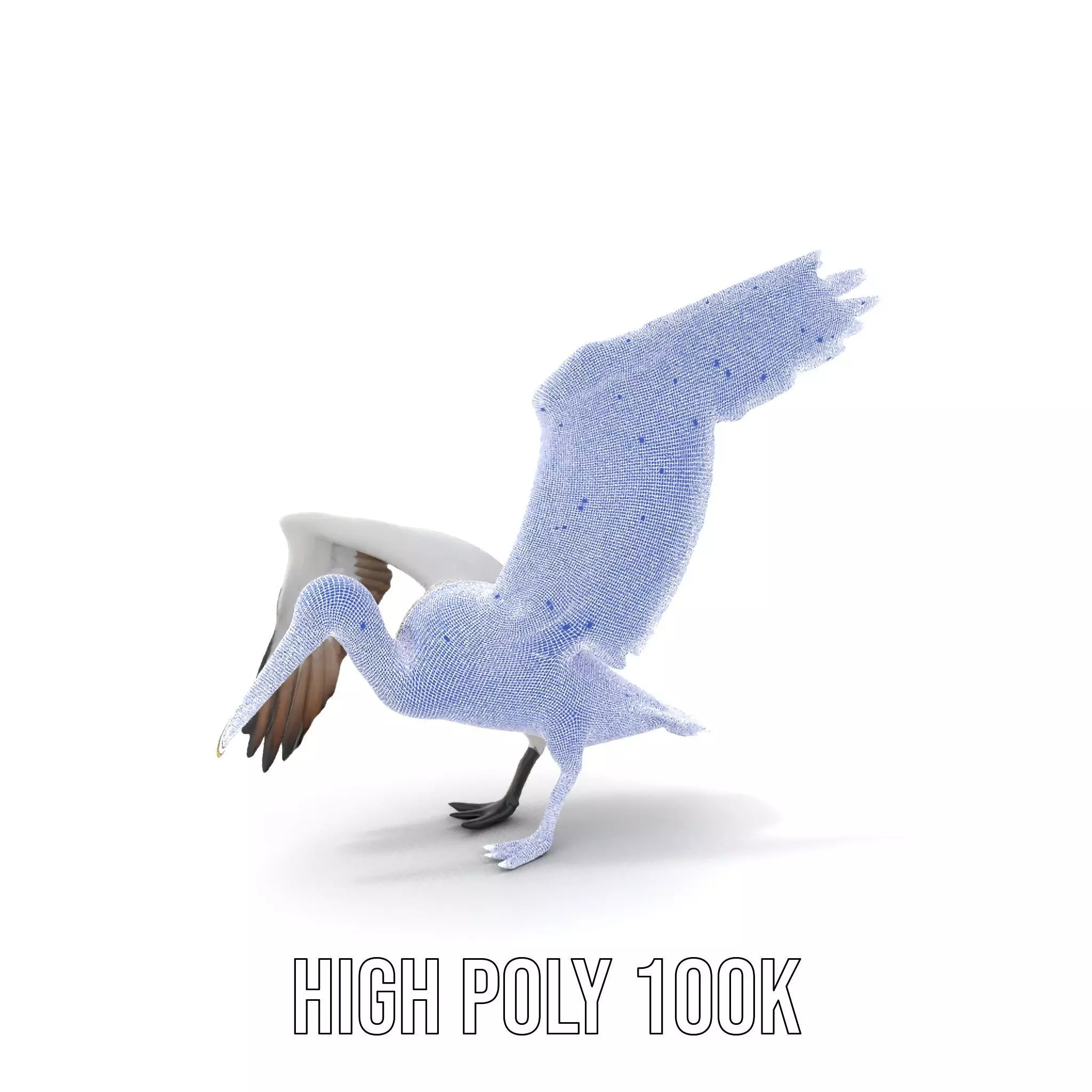 Elegant Seagull Model Pack Low-poly 3D model_4