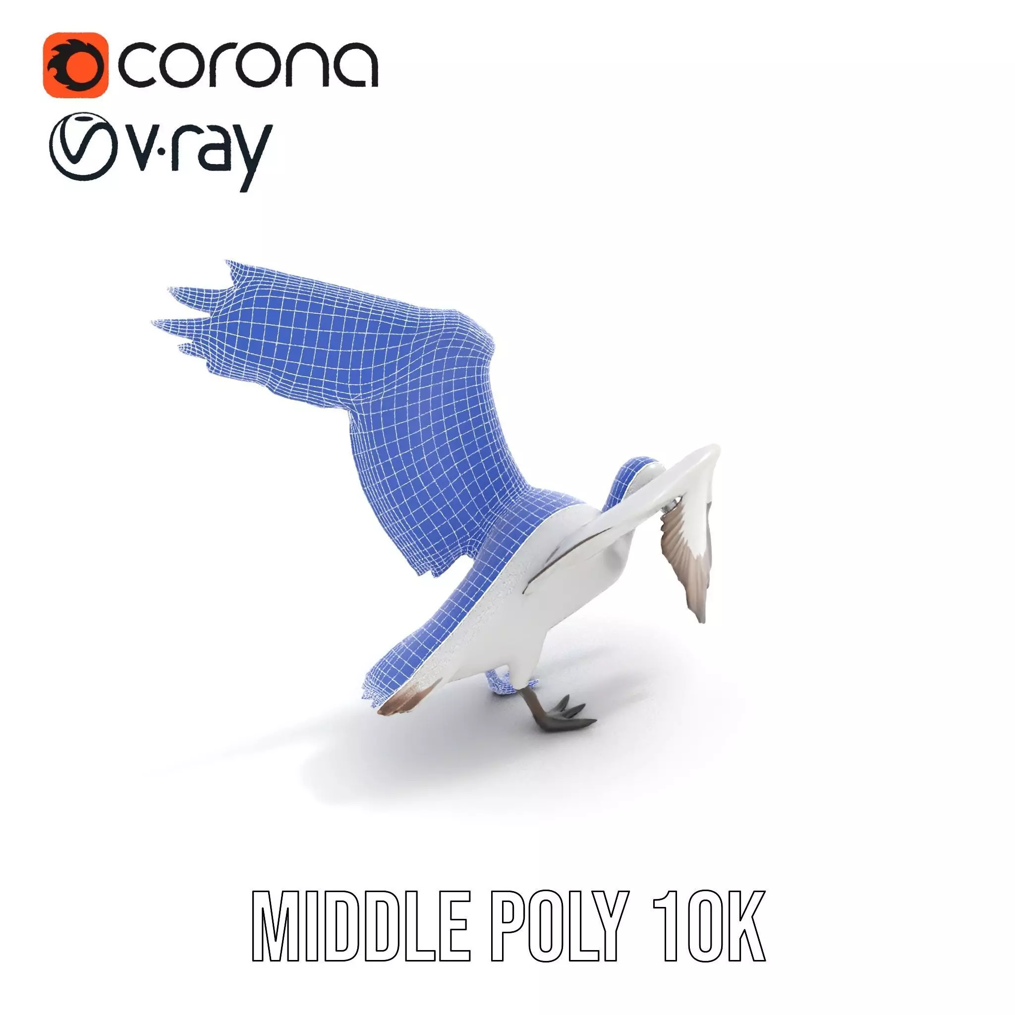 Elegant Seagull Model Pack Low-poly 3D model_23