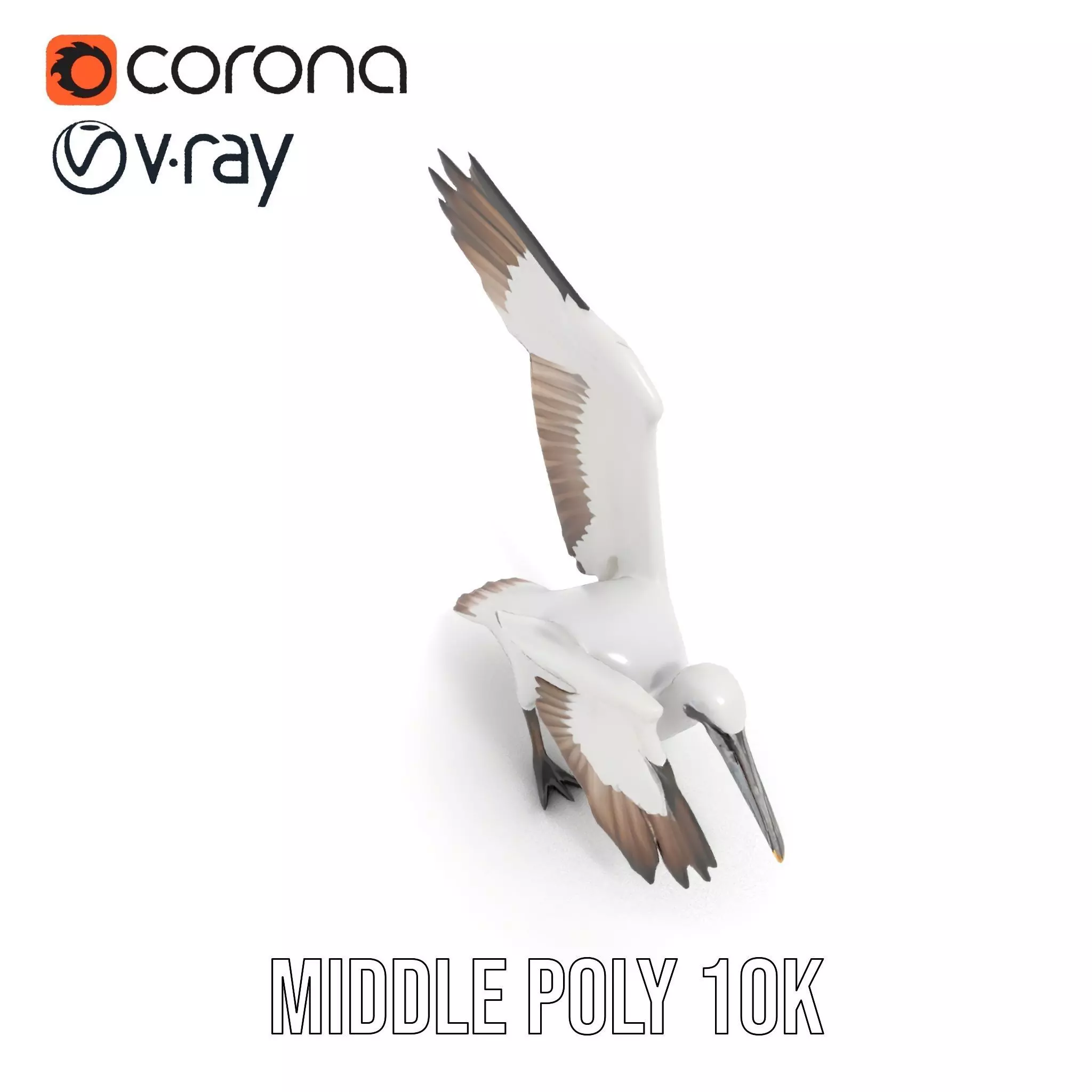 Elegant Seagull Model Pack Low-poly 3D model_10