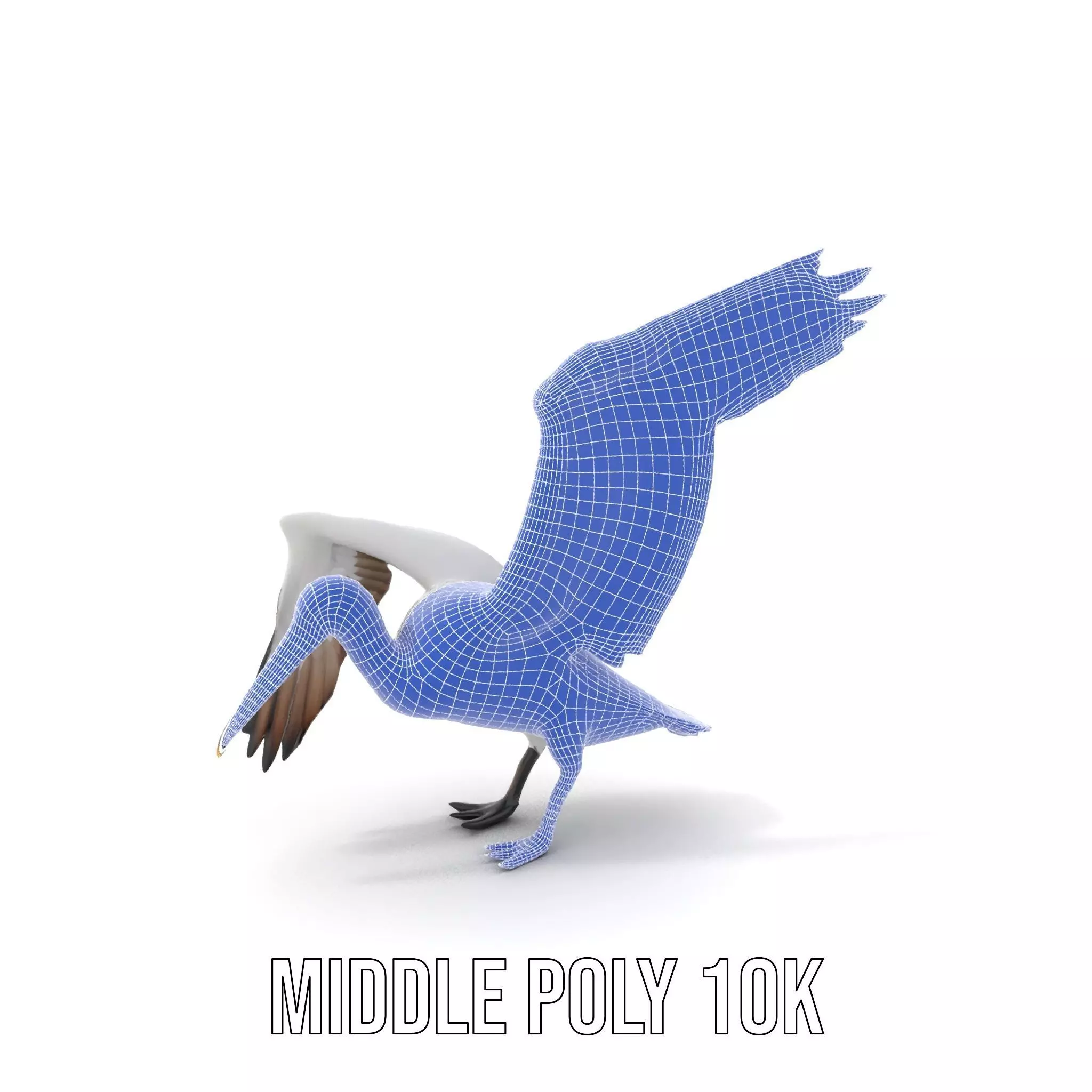 Elegant Seagull Model Pack Low-poly 3D model_21