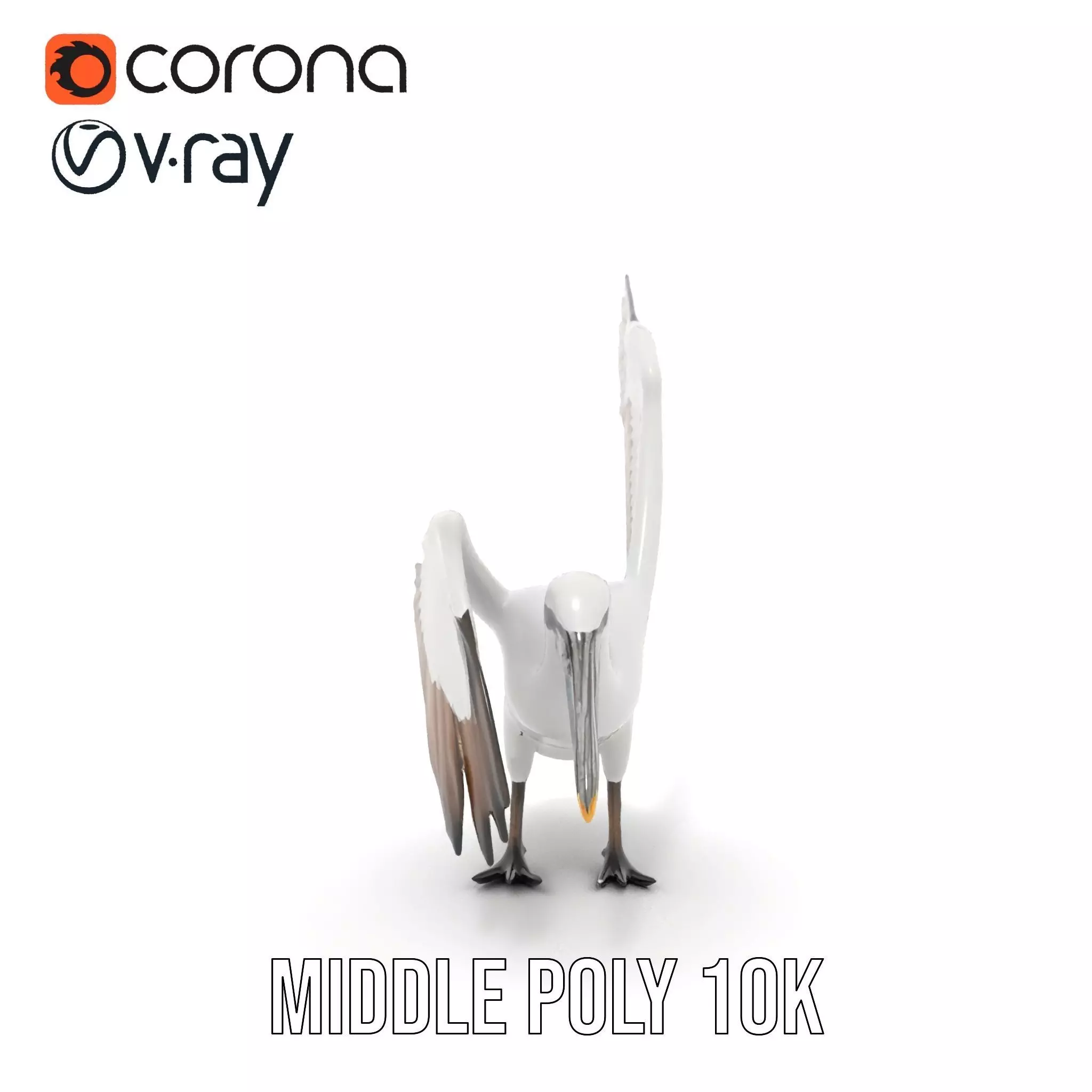 Elegant Seagull Model Pack Low-poly 3D model_13