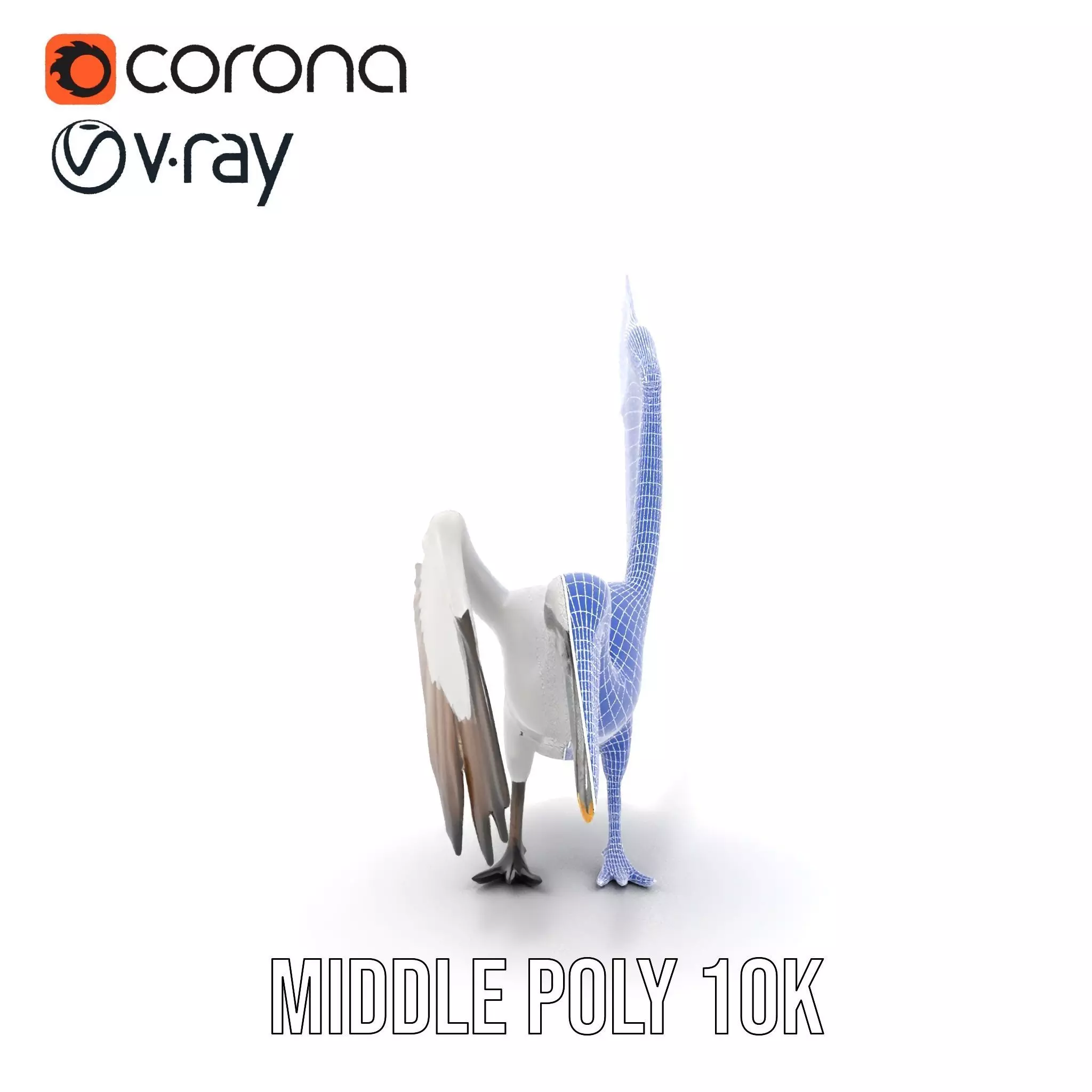 Elegant Seagull Model Pack Low-poly 3D model_26