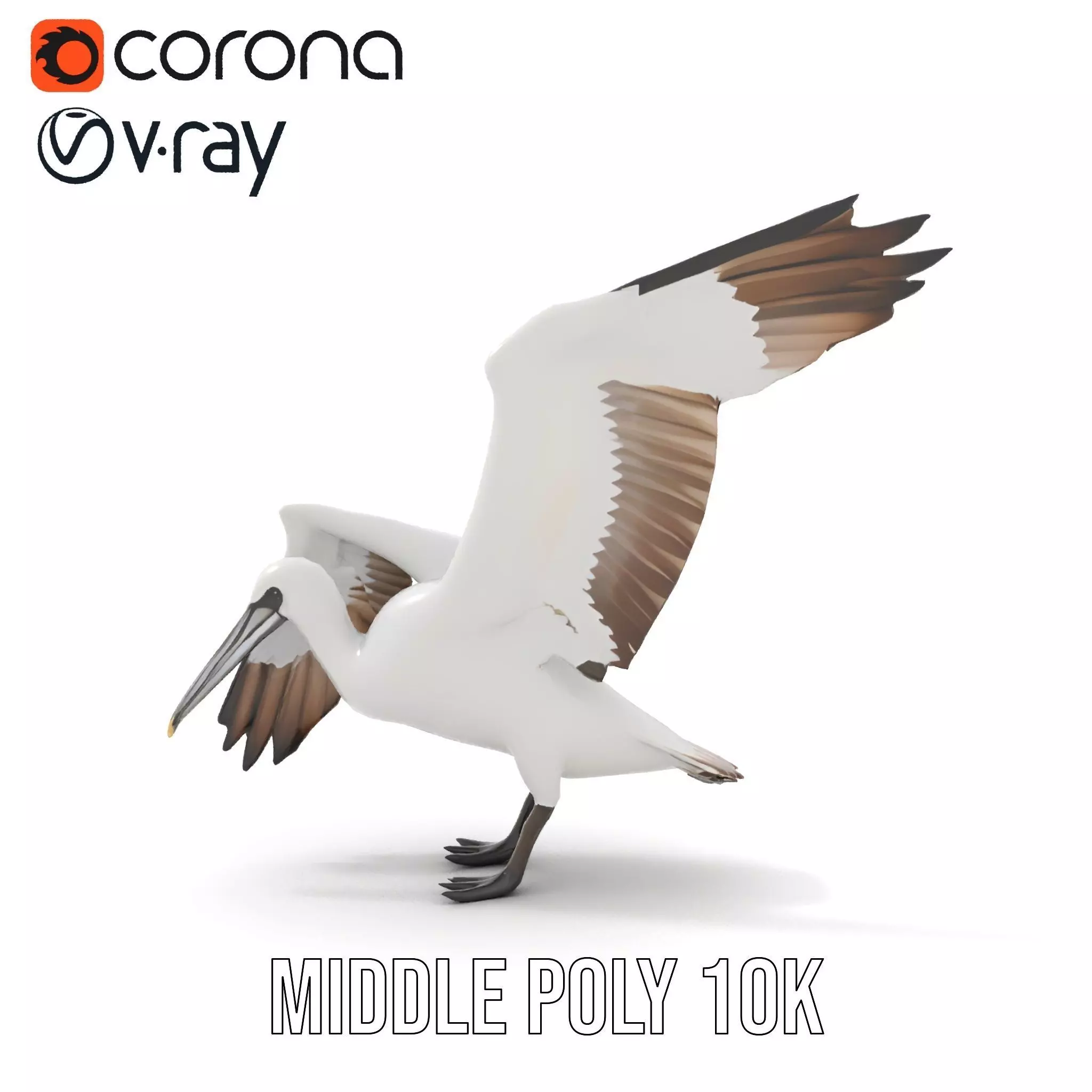 Elegant Seagull Model Pack Low-poly 3D model_16