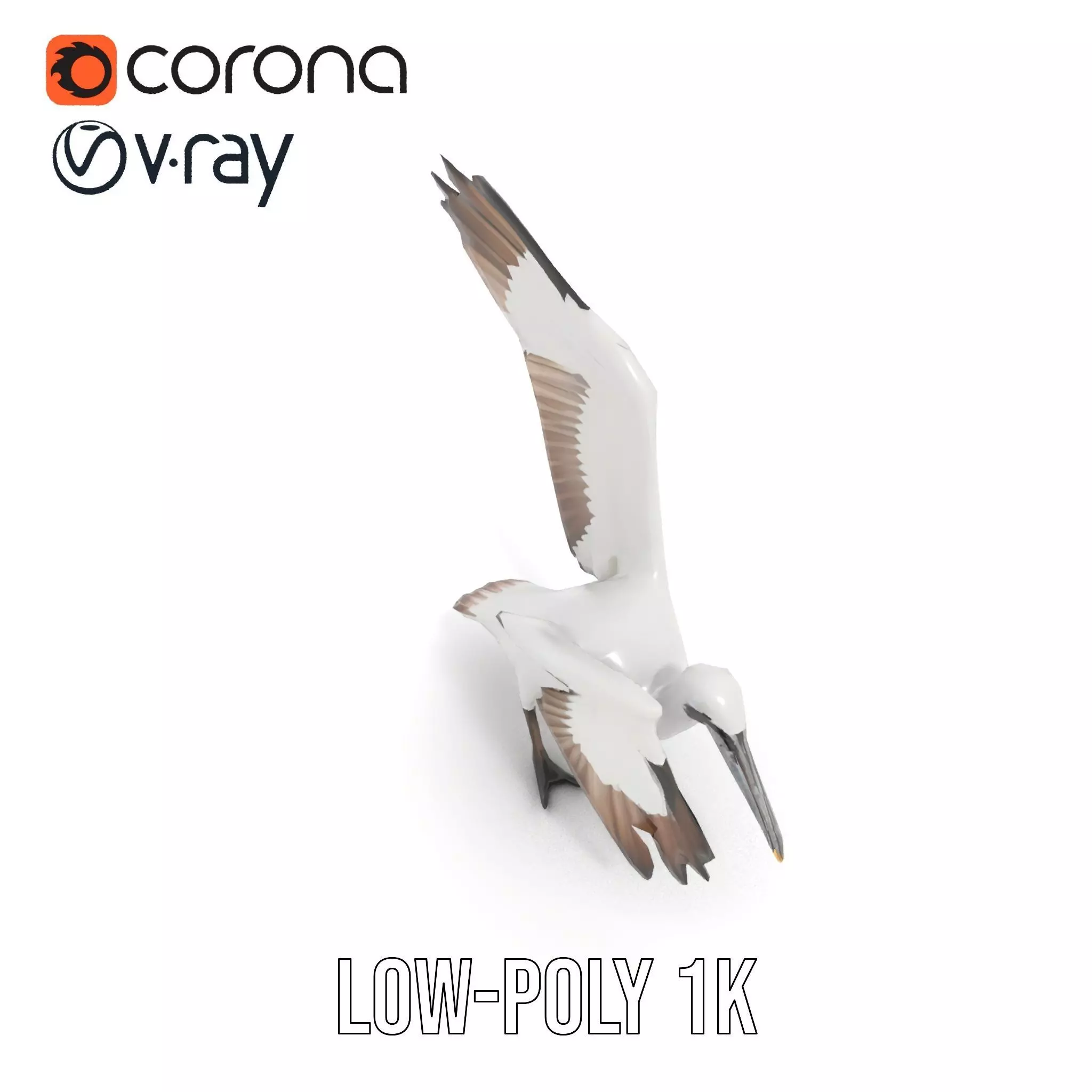 Elegant Seagull Model Pack Low-poly 3D model_17