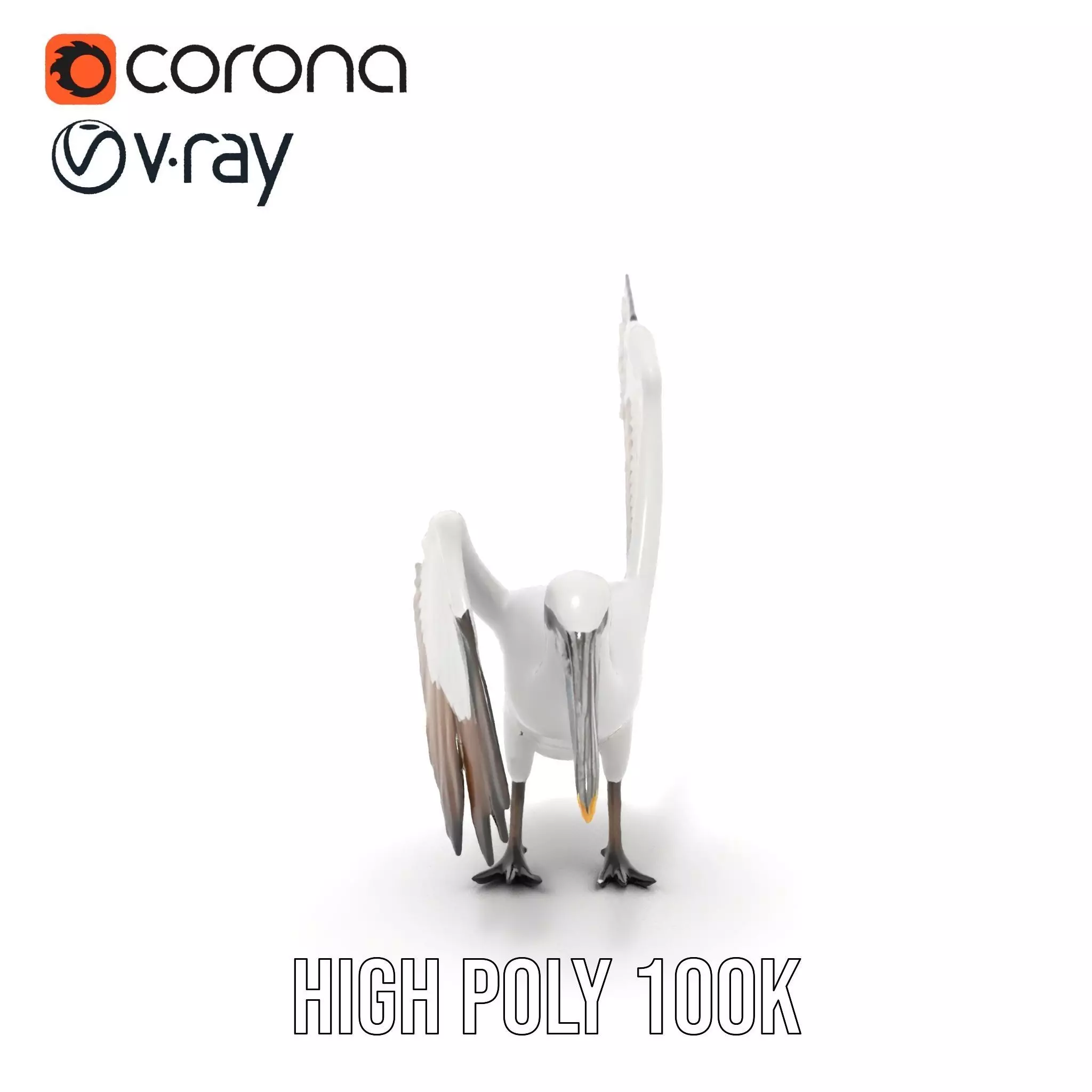 Elegant Seagull Model Pack Low-poly 3D model_12