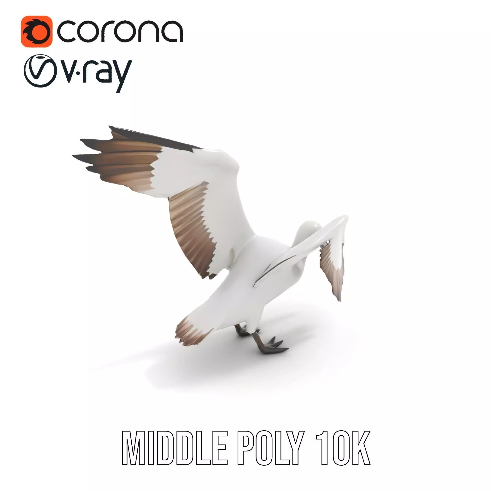 Elegant Seagull Model Pack Low-poly 3D model_5