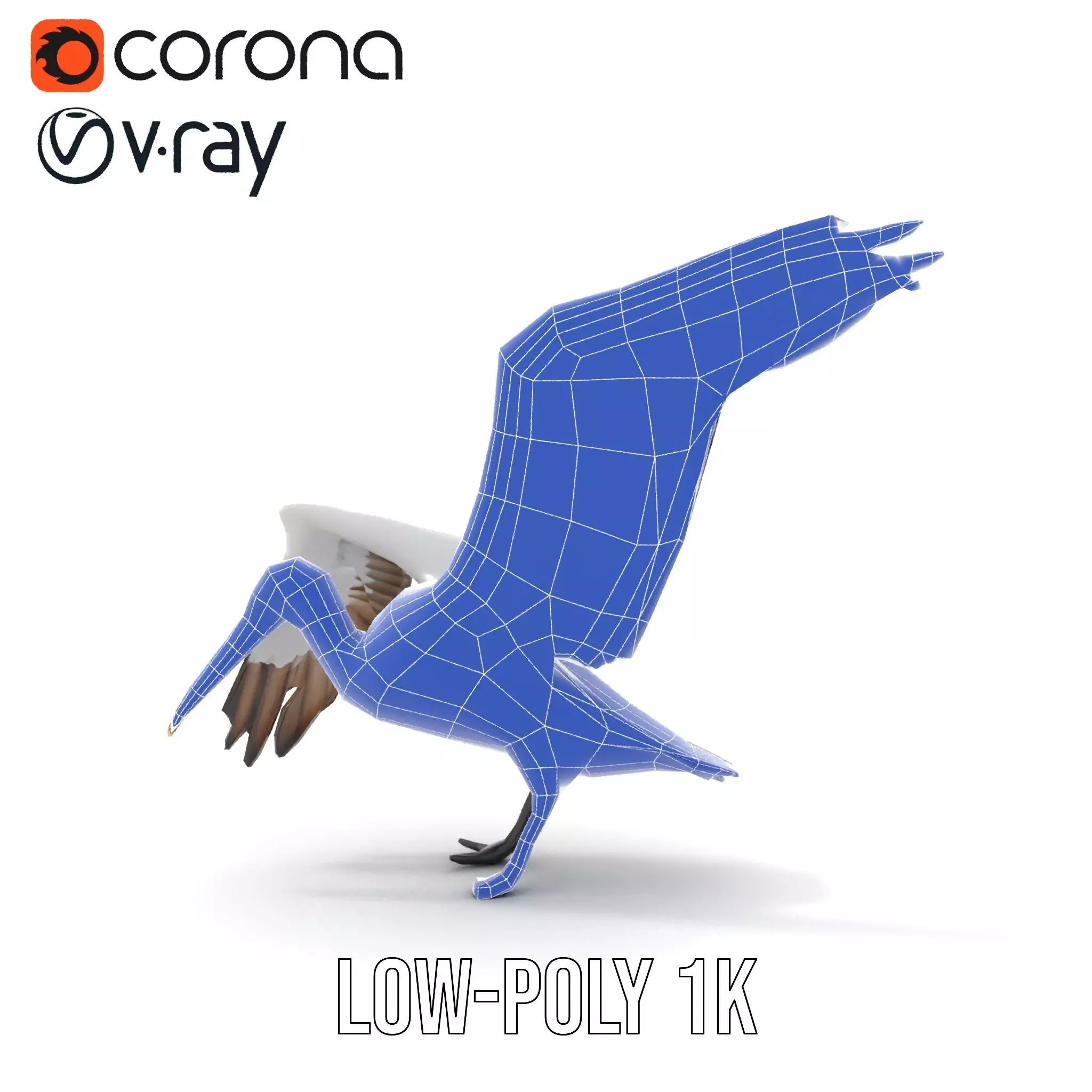 Elegant Seagull Model Pack Low-poly 3D model_24