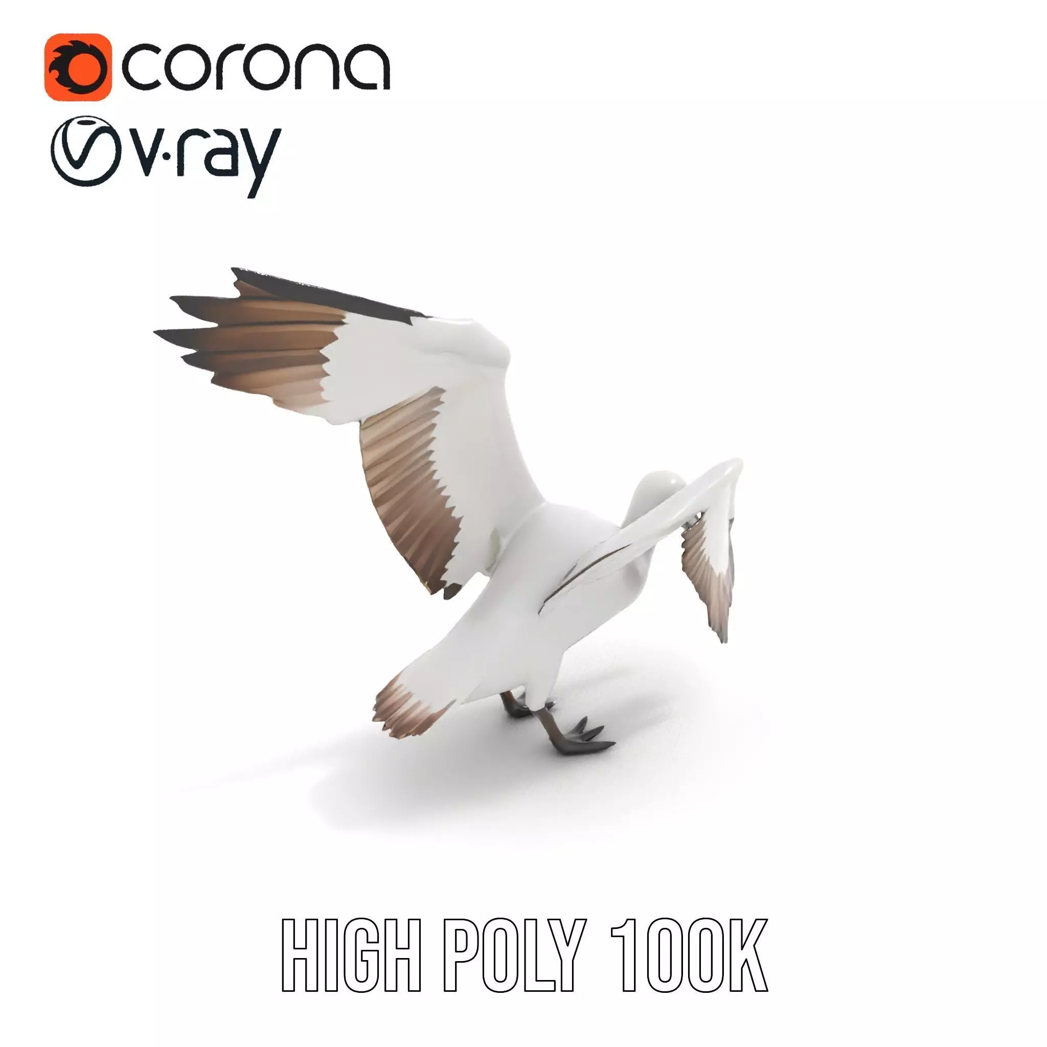 Elegant Seagull Model Pack Low-poly 3D model_9