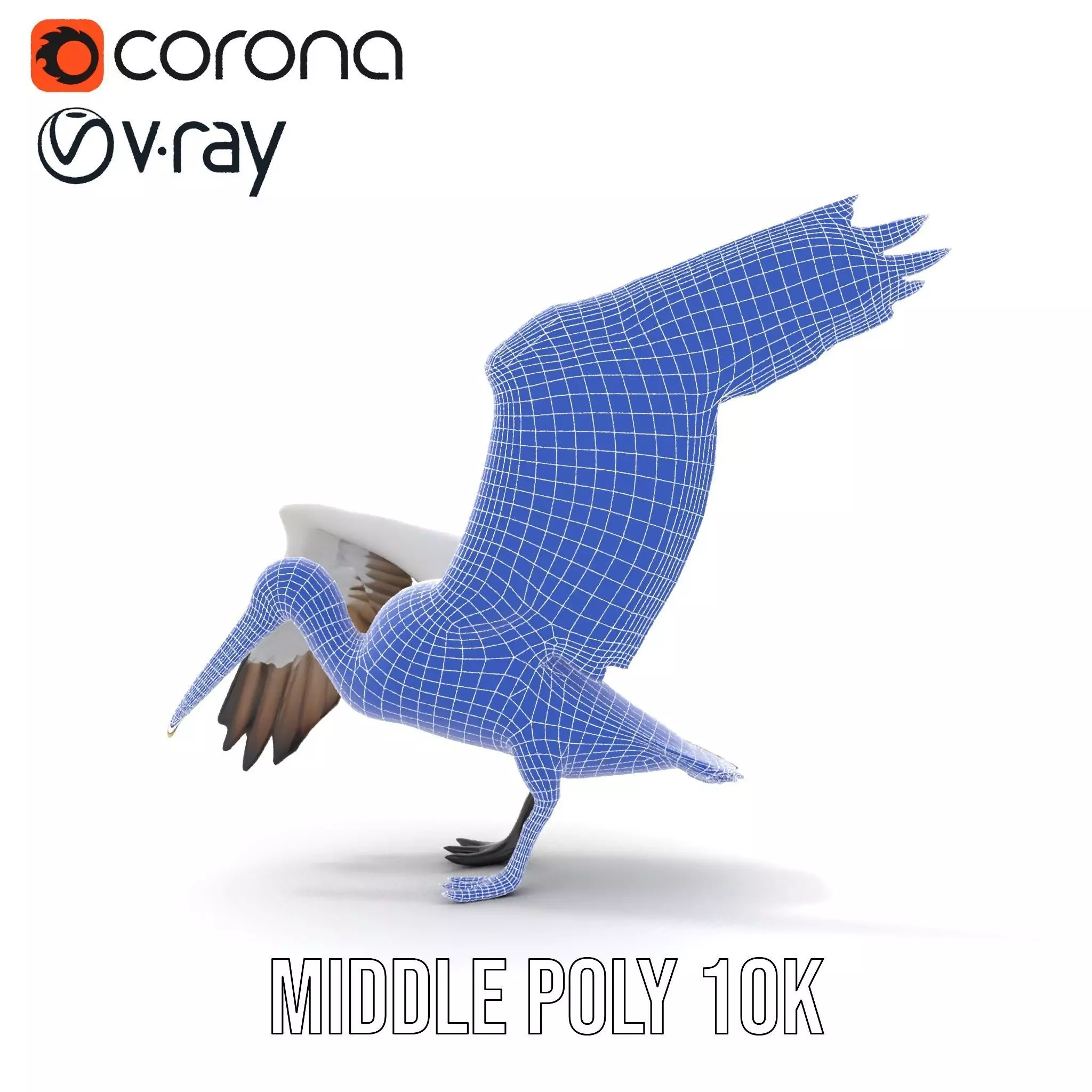 Elegant Seagull Model Pack Low-poly 3D model_29