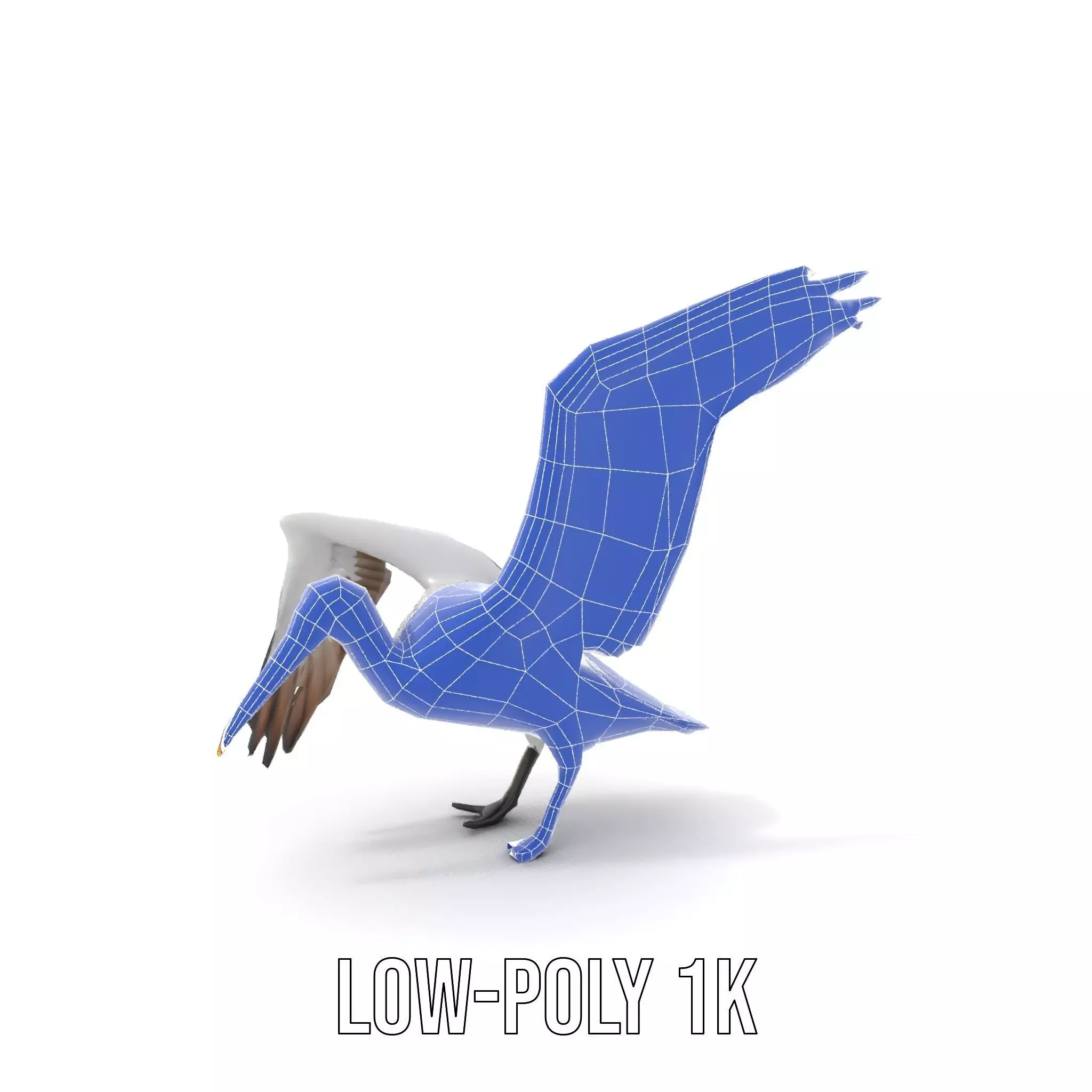 Elegant Seagull Model Pack Low-poly 3D model_27