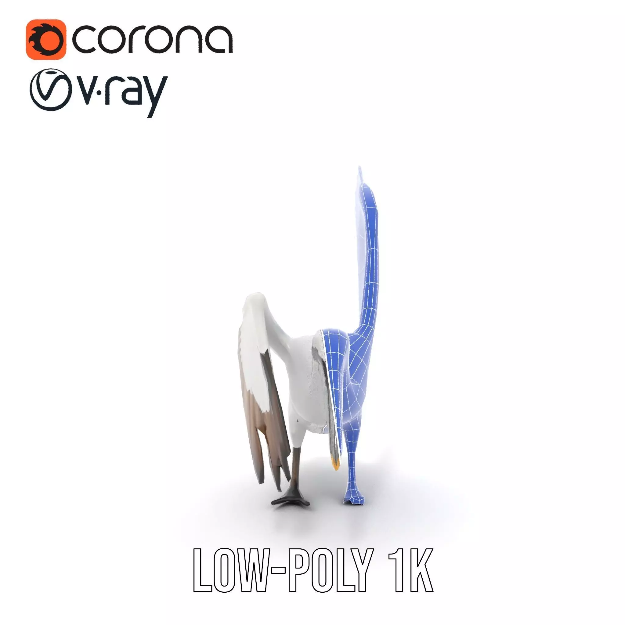 Elegant Seagull Model Pack Low-poly 3D model_30