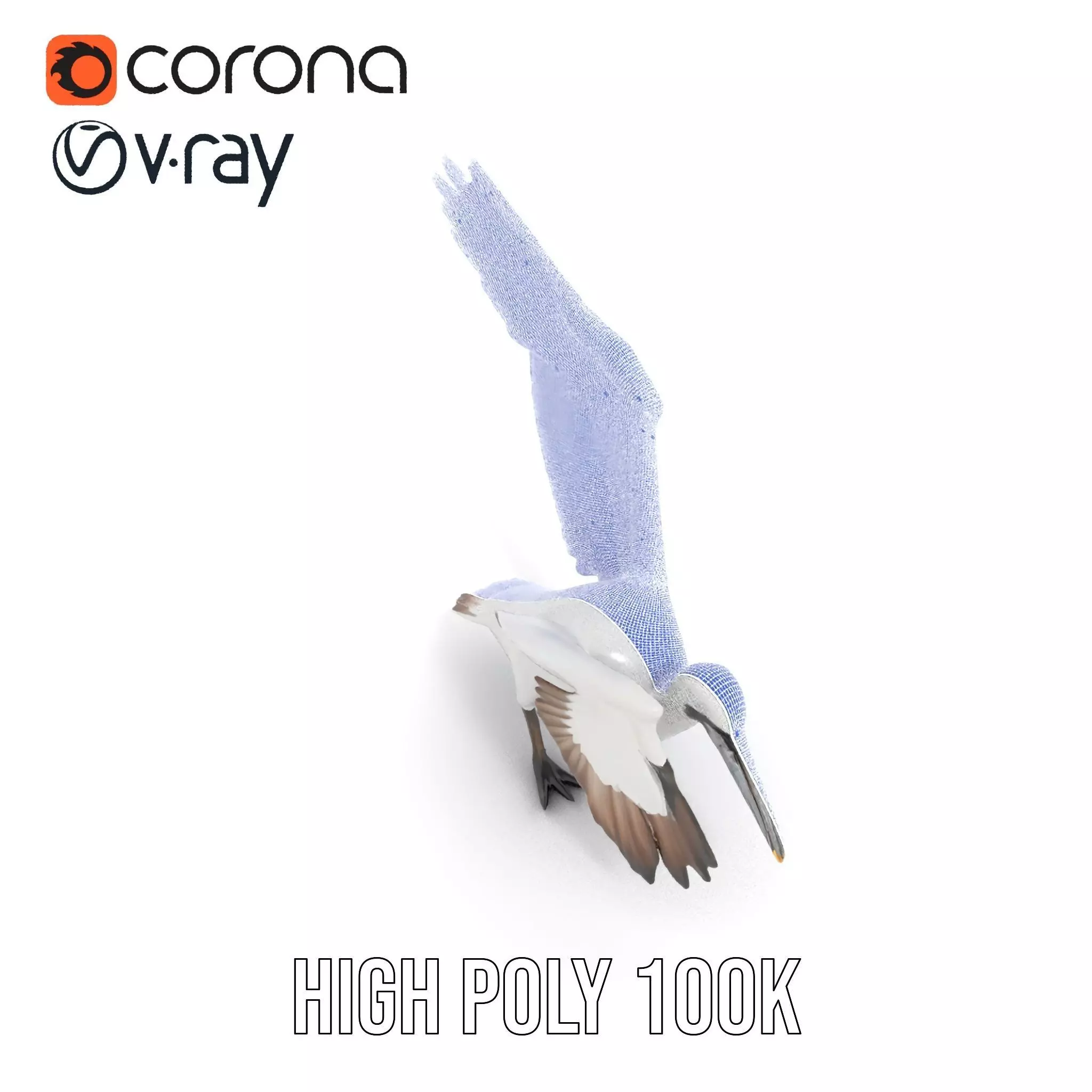 Elegant Seagull Model Pack Low-poly 3D model_32