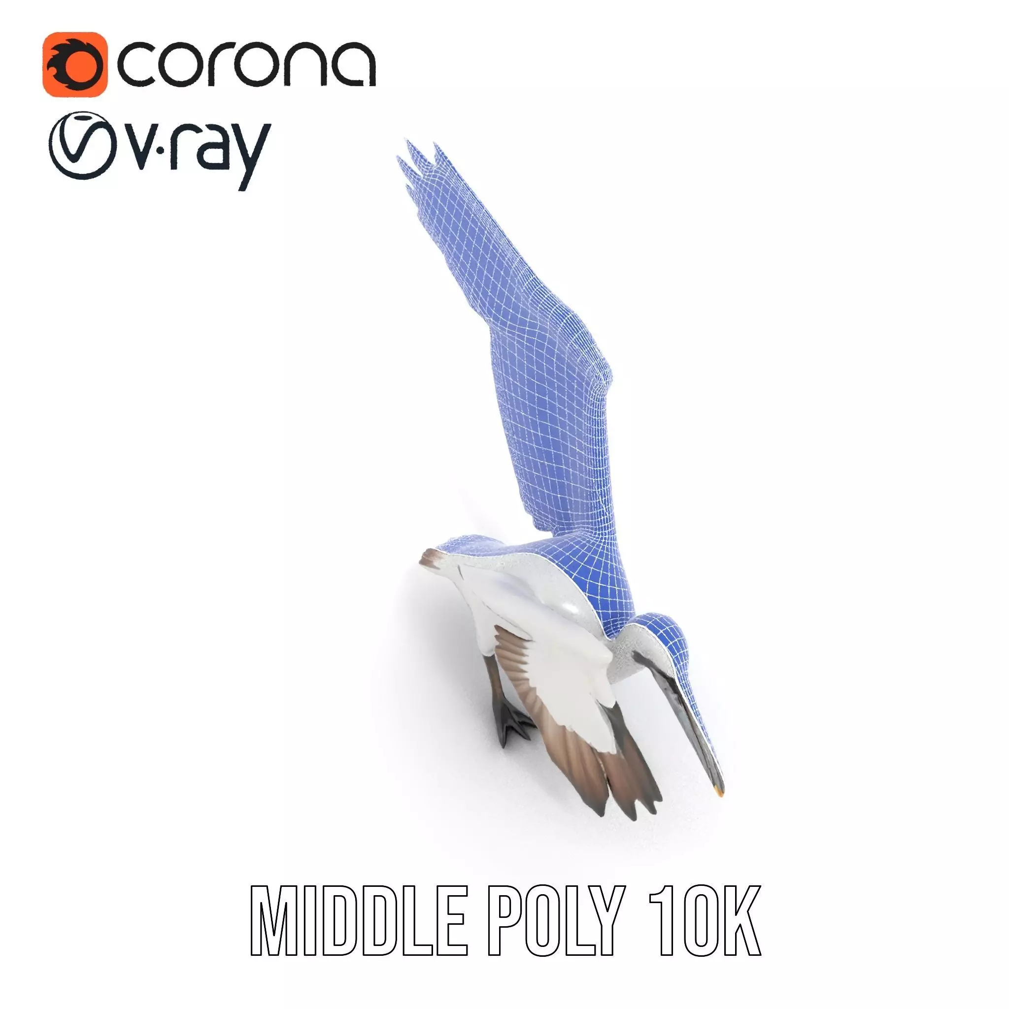 Elegant Seagull Model Pack Low-poly 3D model_18