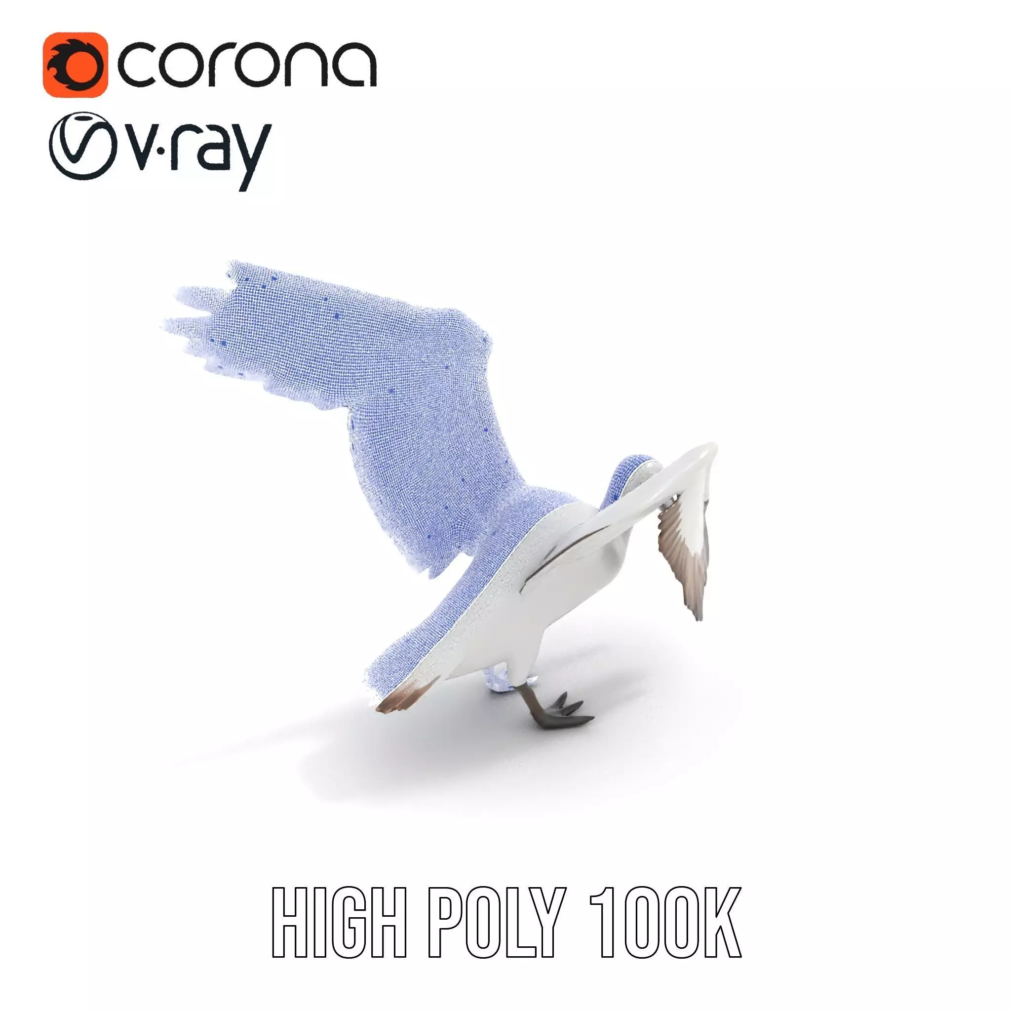 Elegant Seagull Model Pack Low-poly 3D model_15