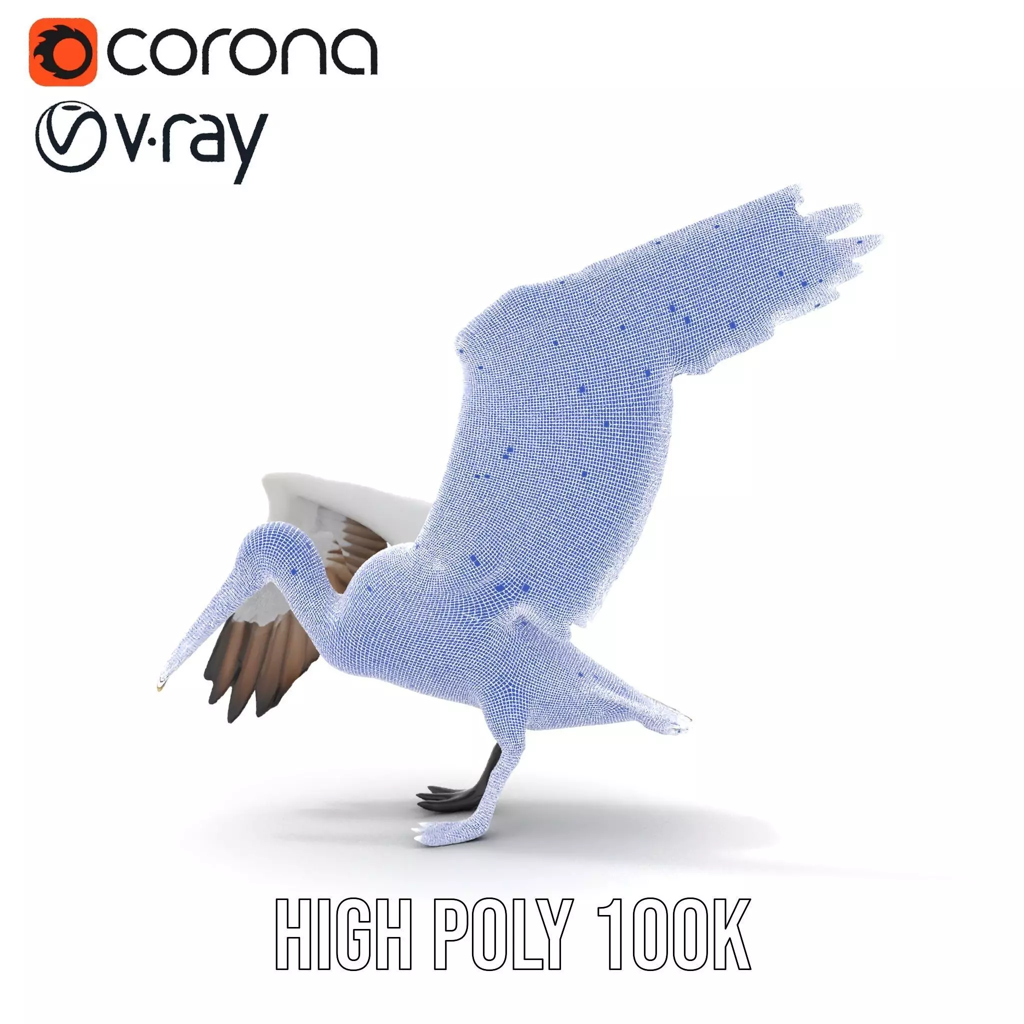 Elegant Seagull Model Pack Low-poly 3D model_28