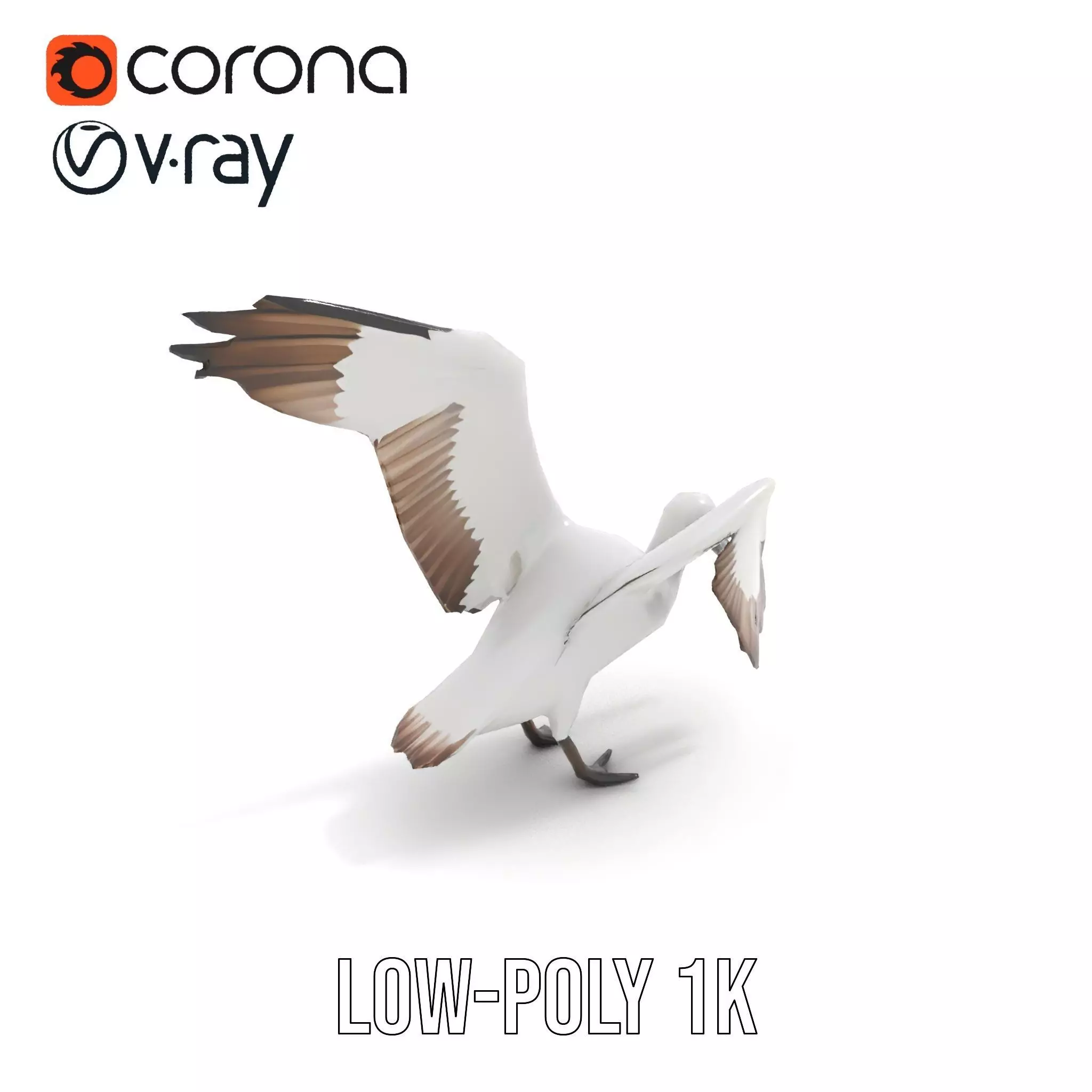 Elegant Seagull Model Pack Low-poly 3D model_14