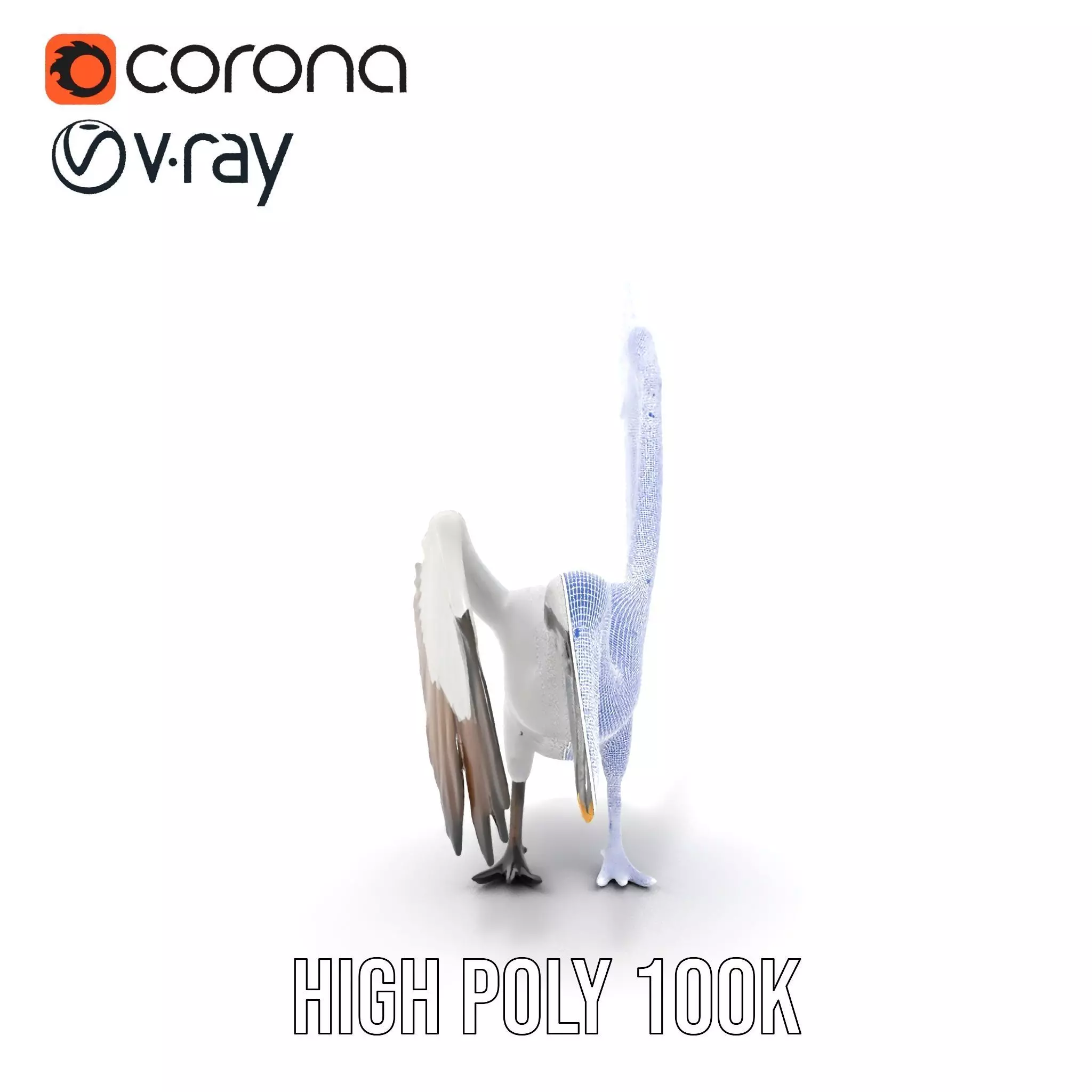 Elegant Seagull Model Pack Low-poly 3D model_33