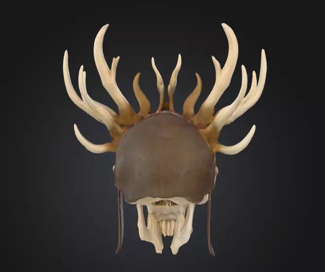 Bone Crown Helm is a menacing 3D Low-poly 3D model_4