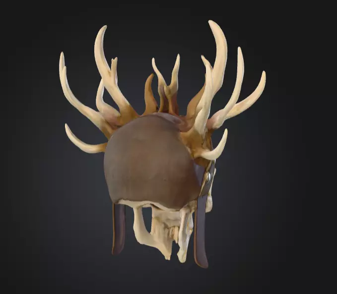 Bone Crown Helm is a menacing 3D Low-poly 3D model_3