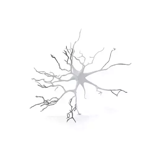 Neuron Network Organic model pack
