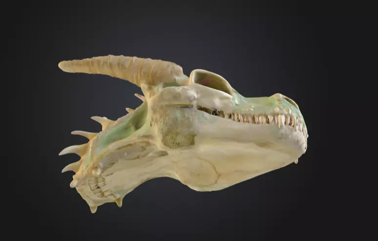 Fossilized Dragon Skull Low-poly 3D model_9