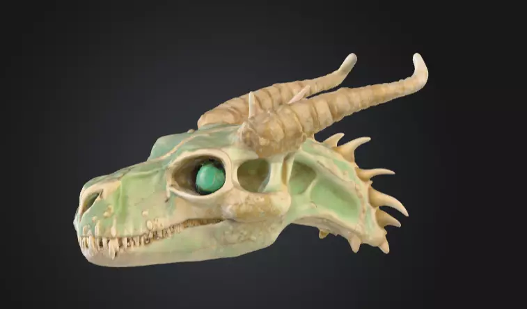 Fossilized Dragon Skull Low-poly 3D model_5