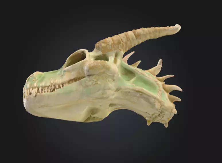Fossilized Dragon Skull Low-poly 3D model_10