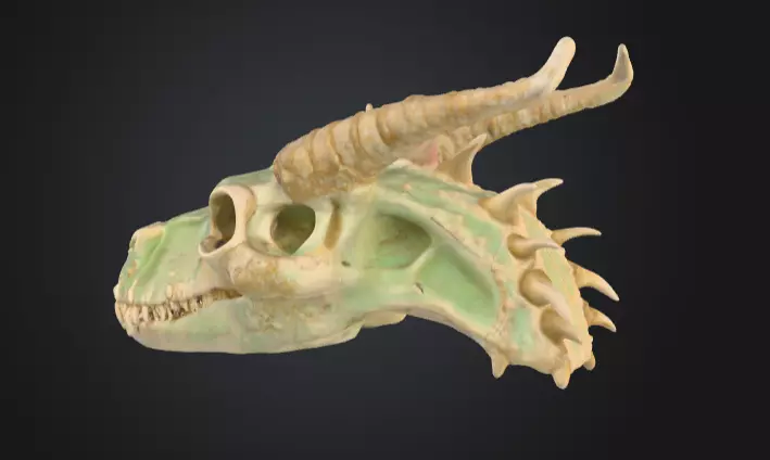 Fossilized Dragon Skull Low-poly 3D model_4
