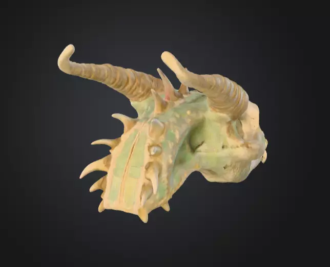 Fossilized Dragon Skull Low-poly 3D model_2