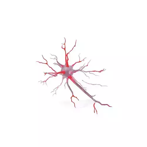 Red Neural Cell model pack