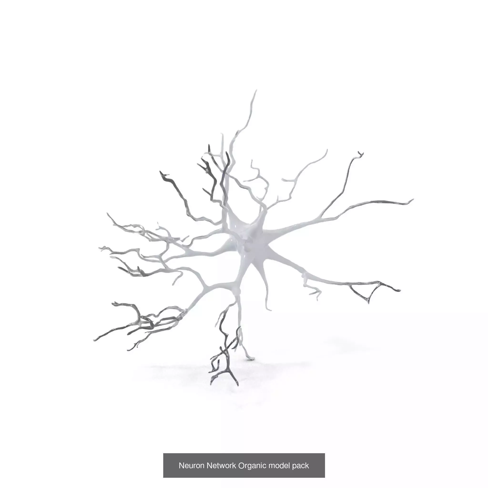 Neuron Models Pack 3D Model Collection_26