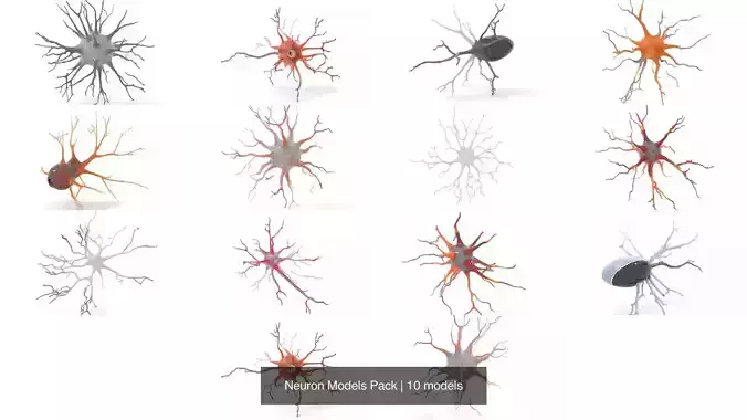 Neuron Models Pack