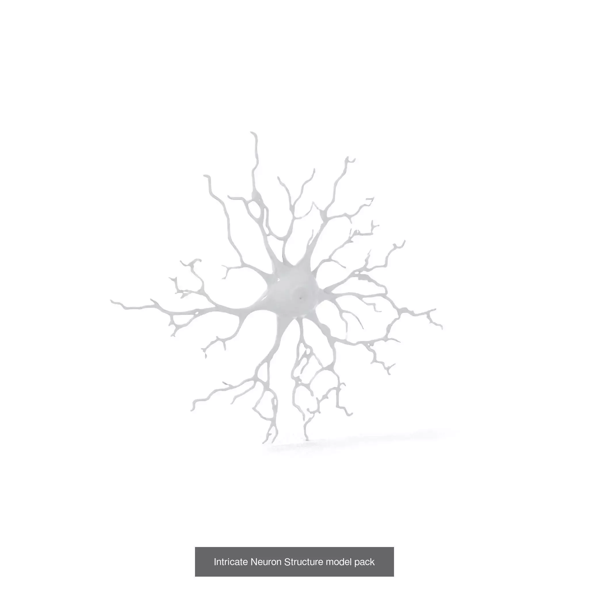 Neuron Models Pack 3D Model Collection_24