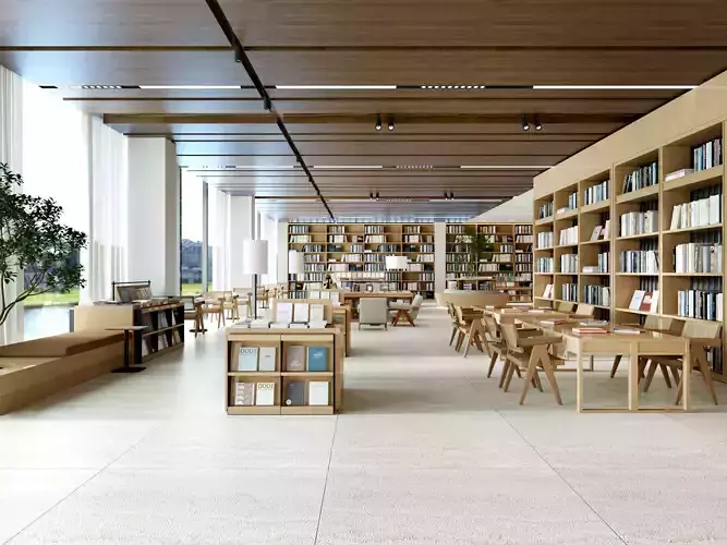 library Low-poly 3D model