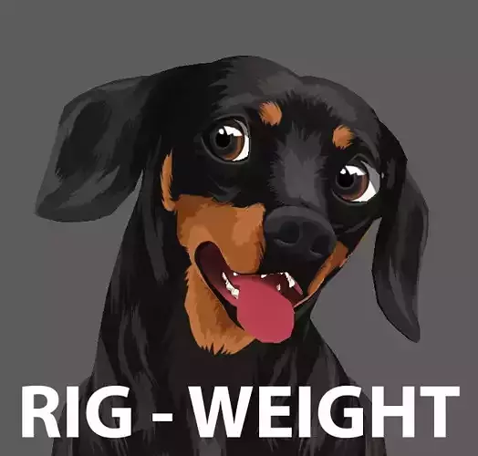 Dachshund Rig Weight