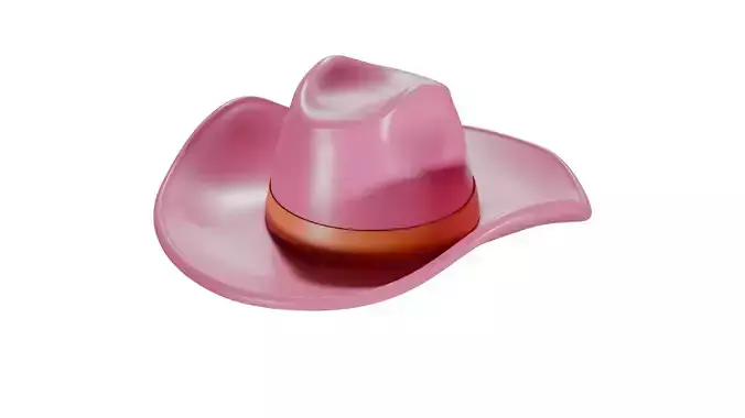 Pink Cowboy Hat