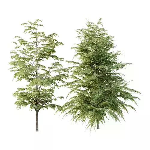 Different Trees 47 3D model