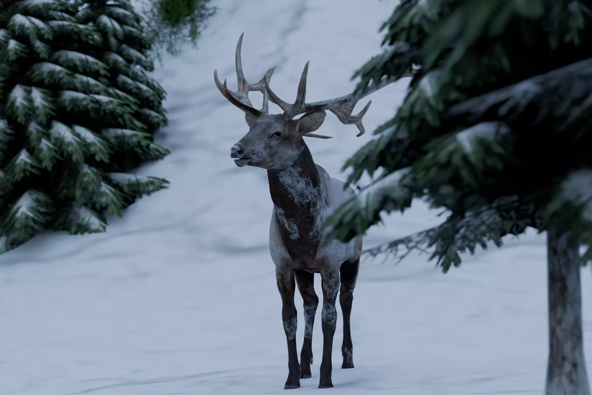 Snowy Highway 3D model_6