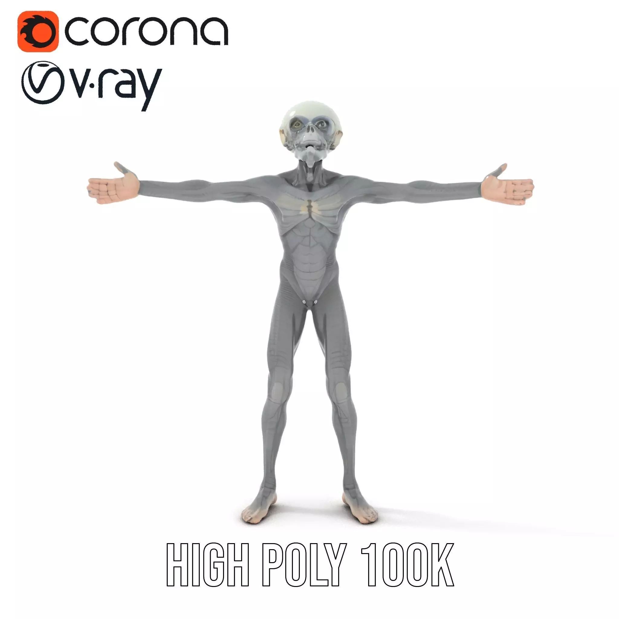 Alien Creature SciFi model pack Low-poly 3D model_14