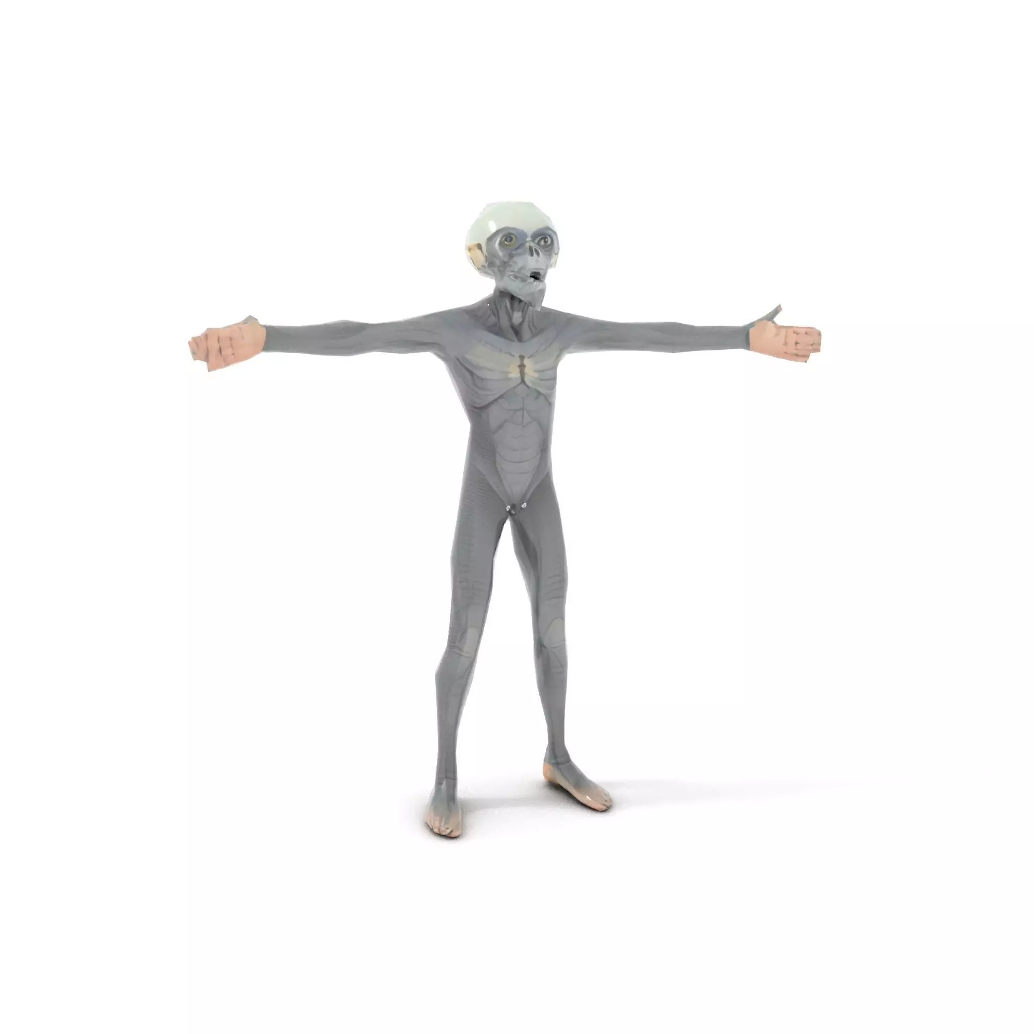 Alien Creature SciFi model pack Low-poly 3D model_13