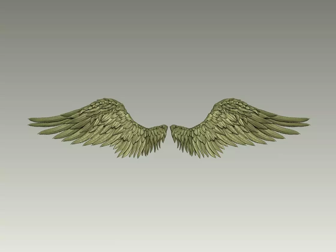 Wing Model 15 3D print model