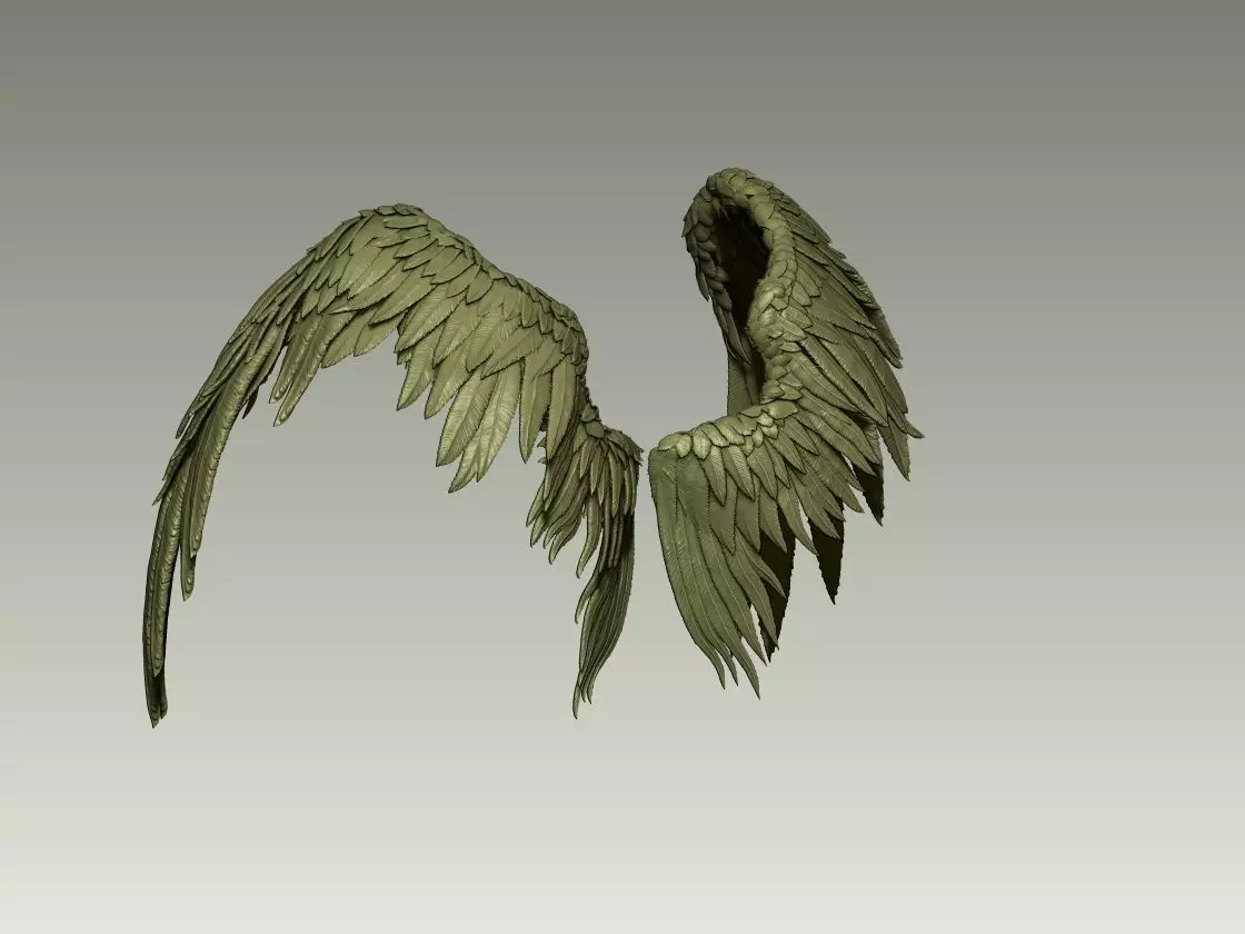 Wing Model 17 3D print model_2