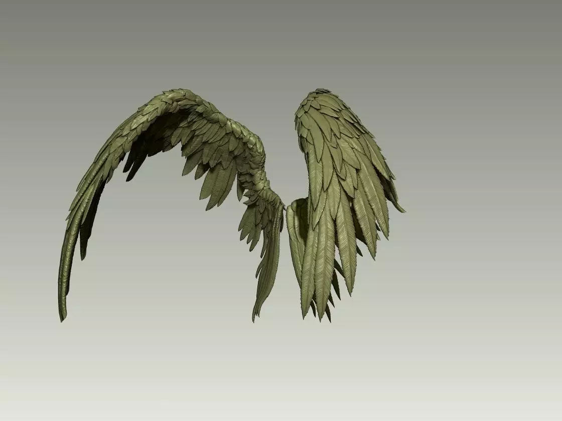 Wing Model 17 3D print model_1