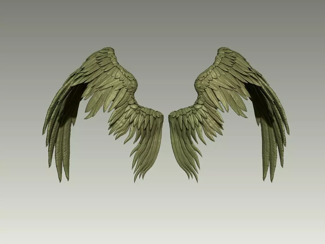 Wing Model 17 3D print model_3