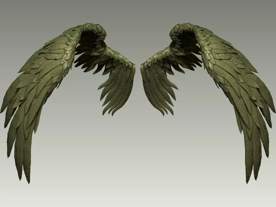 Wing Model 17 3D print model_4