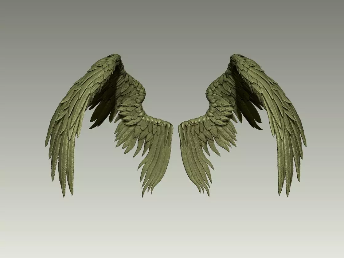 Wing Model 17 3D print model_0