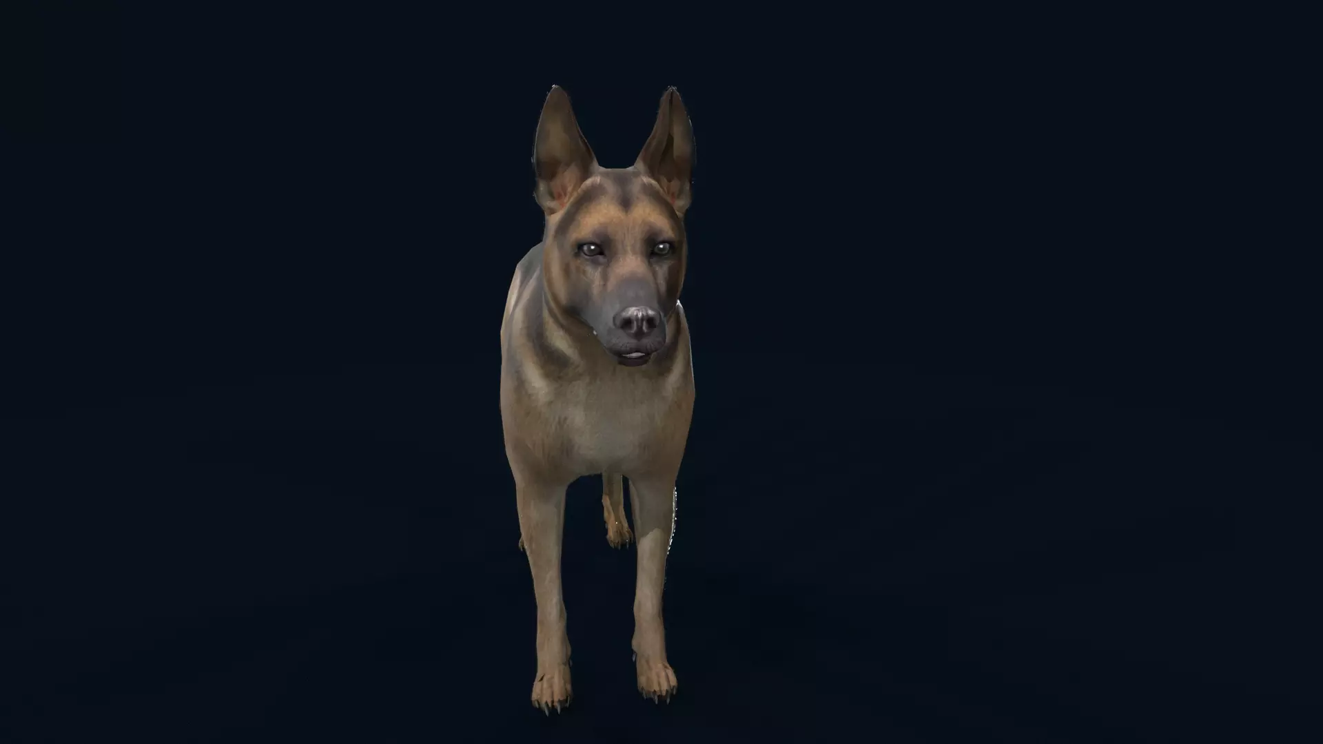 german shepherd dog Low-poly 3D model_0
